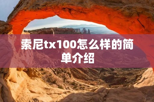 索尼tx100怎么样的简单介绍