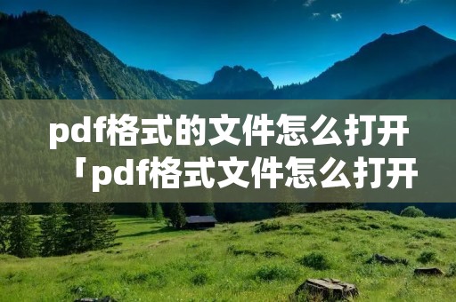 pdf格式的文件怎么打开「pdf格式文件怎么打开编辑」