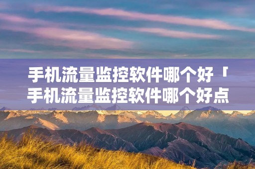 手机流量监控软件哪个好「手机流量监控软件哪个好点」