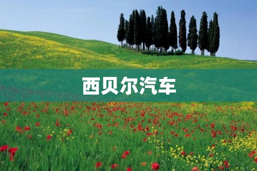 西贝尔汽车:以创新驰骋未来的汽车品牌 西贝尔汽车:以创新驰骋未来的汽车品牌