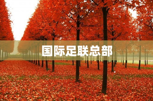 国际足**部：足球世界的核心