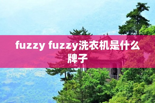 fuzzy fuzzy洗衣机是什么牌子