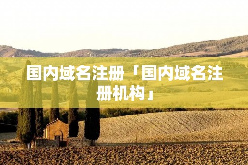 国内域名注册「国内域名注册机构」
