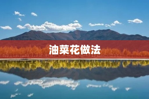 油菜花做法:如何制作美味可口的油菜花菜品 油菜花做法:如何制作美味可口的油菜花菜品