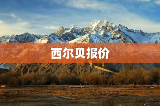 西尔贝报价：为您解读西尔贝的价格和价值