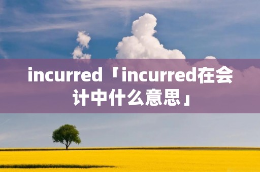 incurred「incurred在会计中什么意思」