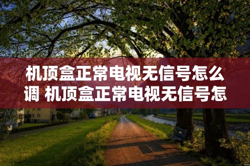 机顶盒正常电视无信号怎么调 机顶盒正常电视无信号怎么调一直红的是 机顶盒正常电视无信号怎么调 机顶盒正常电视无信号怎么调一直红的是