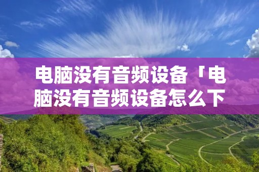 电脑没有音频设备「电脑没有音频设备怎么下载」