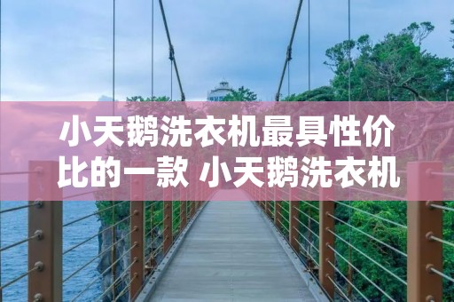 小天鹅洗衣机最具性价比的一款 小天鹅洗衣机畅销款 小天鹅洗衣机最具性价比的一款 小天鹅洗衣机畅销款