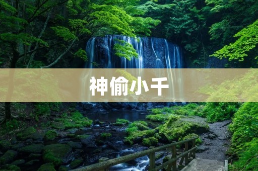神偷小千：独步江湖的盗贼传奇