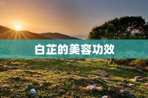 白芷的美容功效:舒缓镇定肌肤,净化毛孔,美白祛斑