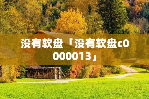 没有软盘「没有软盘c0000013」
