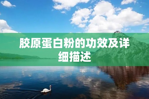 胶原蛋白粉的功效及详细描述