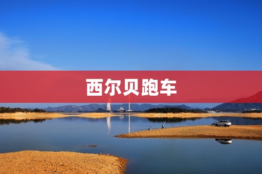 西尔贝跑车:奢华与速度的完美结合 西尔贝跑车:奢华与速度的完美结合