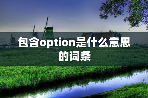 包含option是什么意思的词条