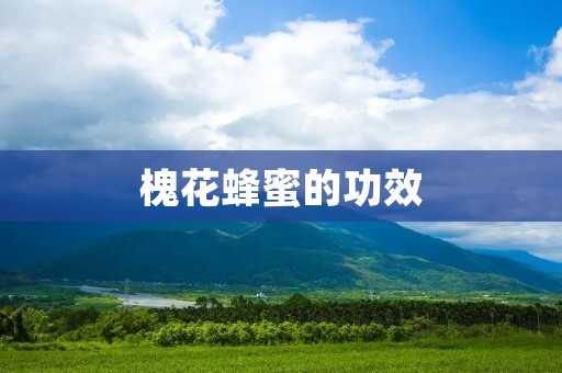 槐花蜂蜜的功效 槐花蜂蜜的功效