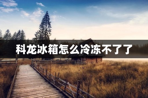 科龙冰箱怎么冷冻不了了