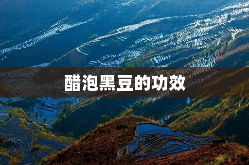 醋泡黑豆的功效