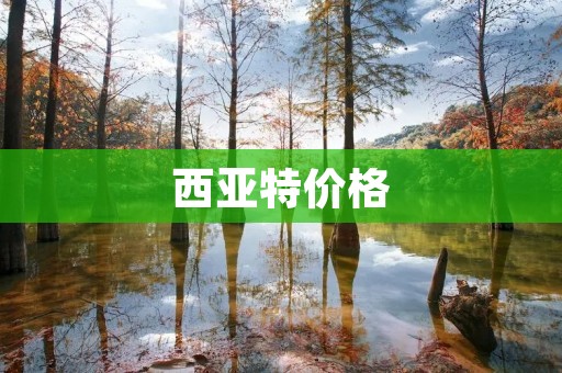 西亚特价格:挑选适合您的理想座驾 西亚特价格:挑选适合您的理想座驾