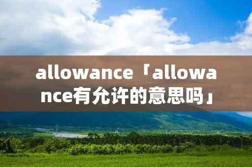 allowance「allowance有允许的意思吗」