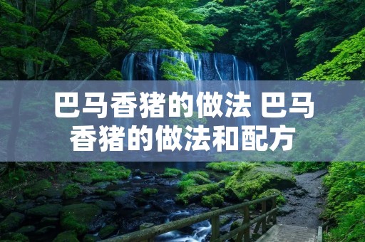 巴马香猪的做法 巴马香猪的做法和配方