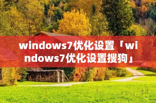 windows7优化设置「windows7优化设置搜狗」
