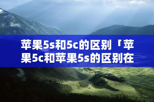 苹果5s和5c的区别「苹果5c和苹果5s的区别在哪里」