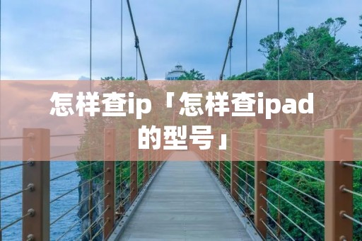怎样查ip「怎样查ipad的型号」