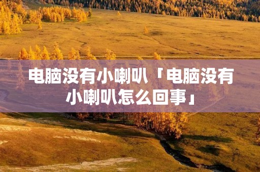 电脑没有小喇叭「电脑没有小喇叭怎么回事」 电脑没有小喇叭「电脑没有小喇叭怎么回事」