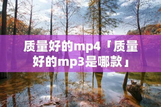 质量好的mp4「质量好的mp3是哪款」