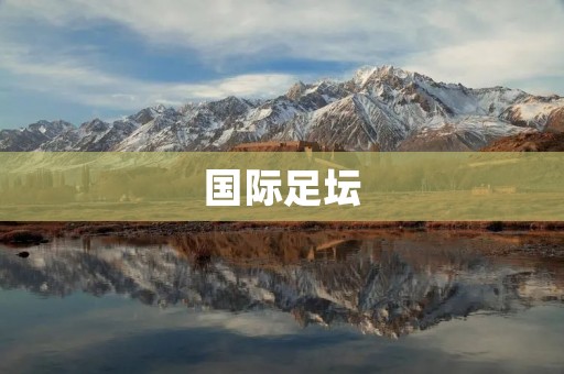 国际足坛：传奇球星的辉煌与传承