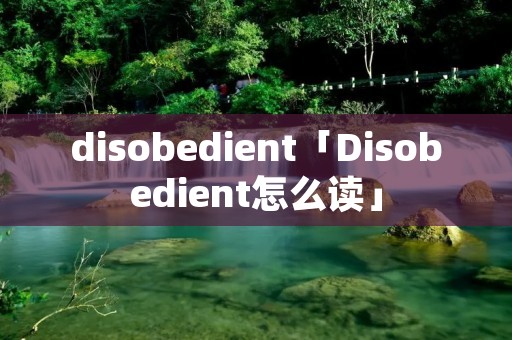 disobedient「Disobedient怎么读」