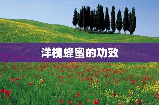洋槐蜂蜜的功效：探索这个自然奇迹的健康益处