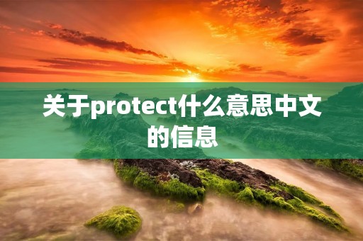 关于protect什么意思中文的信息