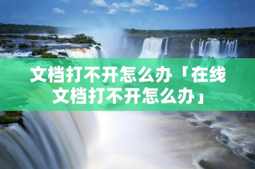 文档打不开怎么办「在线文档打不开怎么办」