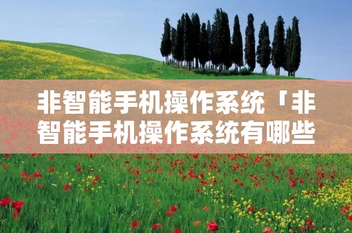 非智能手机操作系统「非智能手机操作系统有哪些」