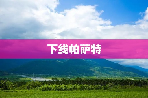 下线帕萨特:大众汽车的转型之路 下线帕萨特:大众汽车的转型之路