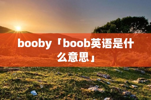 booby「boob英语是什么意思」