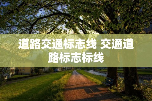 道路交通标志线 交通道路标志标线 道路交通标志线 交通道路标志标线