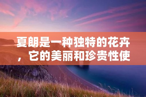 夏朗是一种独特的花卉，它的美丽和珍贵性使得人们对其情有独钟。那么，夏朗到底值多少钱呢？