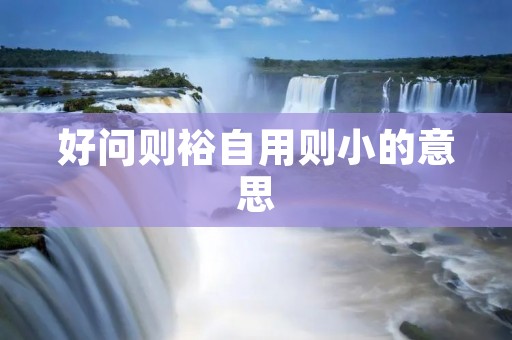 好问则裕自用则小的意思