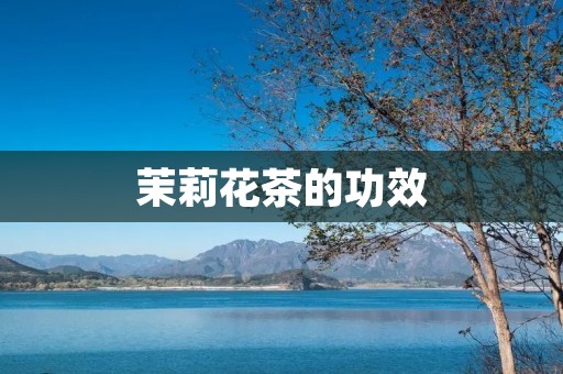茉莉花茶的功效:美容养颜、镇静安神、促进消化