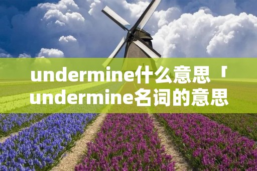 undermine什么意思「undermine名词的意思」
