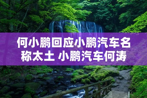 何小鹏回应小鹏汽车名称太土 小鹏汽车何涛百度百科