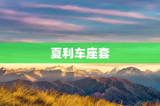 夏利车座套:为您的座椅提供全方位的舒适保护 夏利车座套:为您的座椅提供全方位的舒适保护