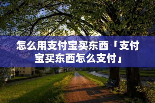 怎么用支付宝买东西「支付宝买东西怎么支付」