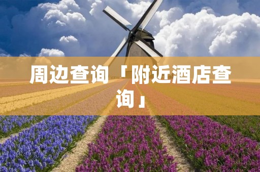 周边查询「附近酒店查询」