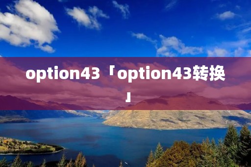 option43「option43转换」