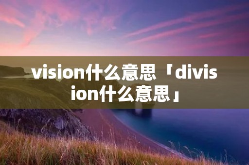 vision什么意思「division什么意思」