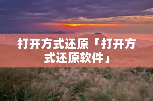 打开方式还原「打开方式还原软件」